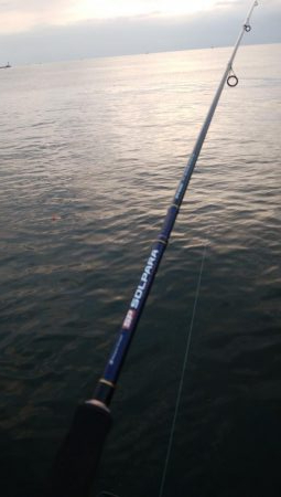 夕まずめタチウオ釣行