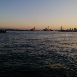 ついにドラゴン