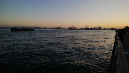 ついにドラゴン