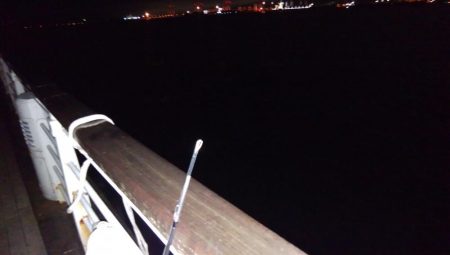 渋い中なんとかタチウオ