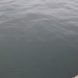 やっぱり渋いな