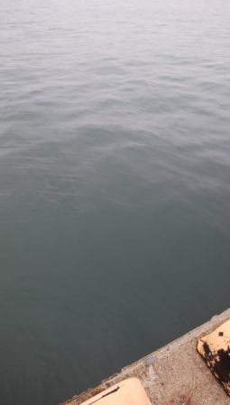 やっぱり渋いな