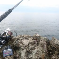 越前ロックショア