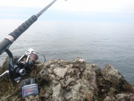 越前ロックショア