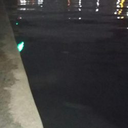 ラインチェックは小まめに(泣)