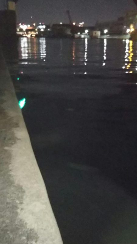 ラインチェックは小まめに(泣)