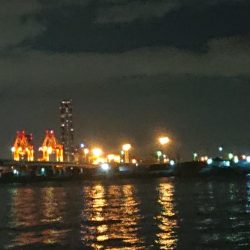 タチウオワインド☆