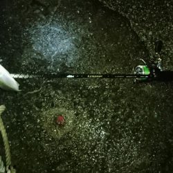 メバリングのはずがアジングに