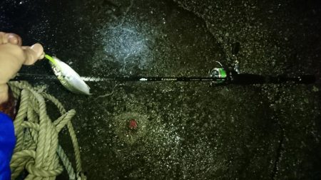 メバリングのはずがアジングに