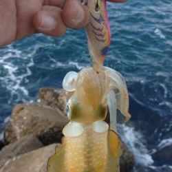 エキング大会にて