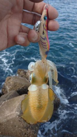 エキング大会にて