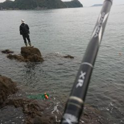 青物&ロックフィッシュ