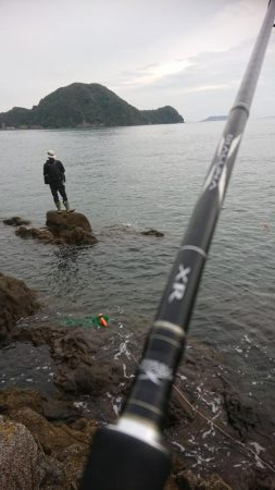 青物&ロックフィッシュ