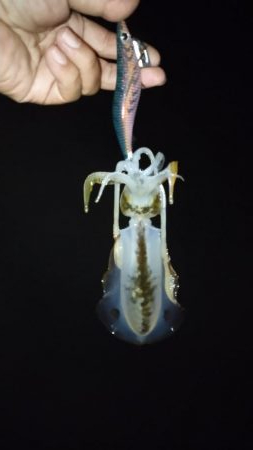 エキングパーティー参加