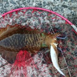 爆風ヤエンで５杯