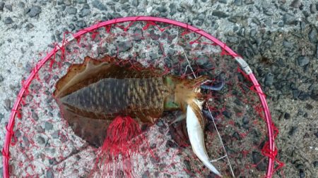 爆風ヤエンで５杯