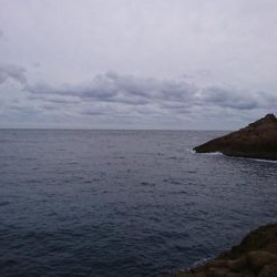 ロックフィッシュ