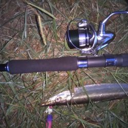 はじめて釣りました(カマス)