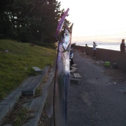 またしても大型熱帯低気圧が近づいています