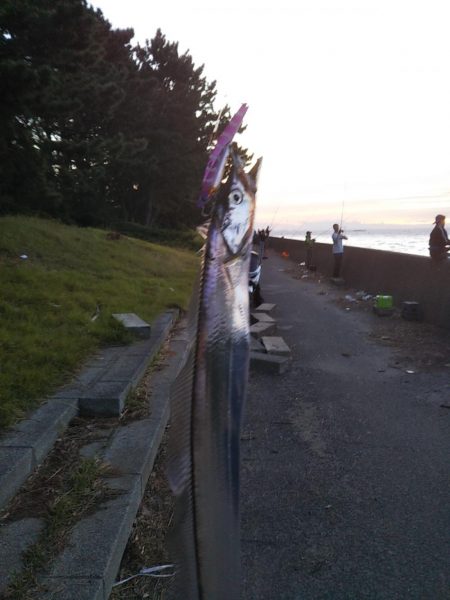 またしても大型熱帯低気圧が近づいています