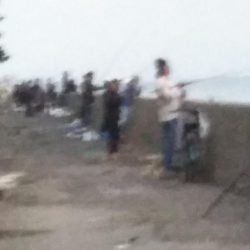 夕マヅメに朝のリベンジを……