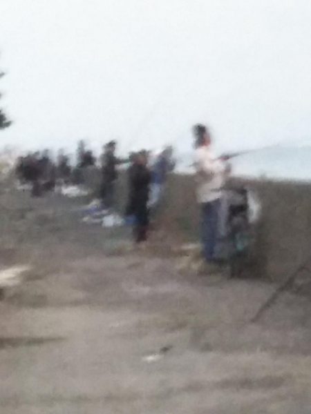 夕マヅメに朝のリベンジを……