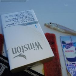 昨日より西風強い播磨新島釣行