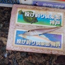 活性が戻り始めた播磨新島釣行