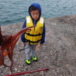 3時間キスのアタリ無い播磨新島釣行