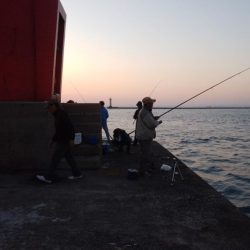 日没前２時間の播磨新島釣行
