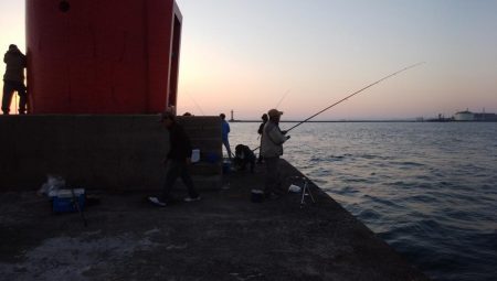 日没前２時間の播磨新島釣行