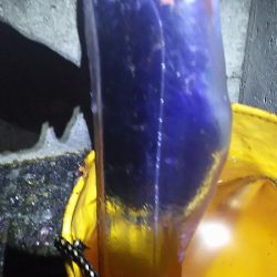 タチウオからのツバス