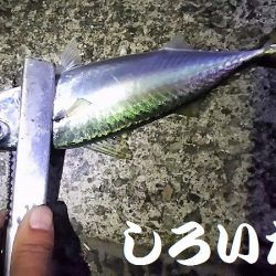 和歌山帰りに寄り道