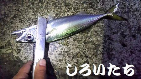 和歌山帰りに寄り道