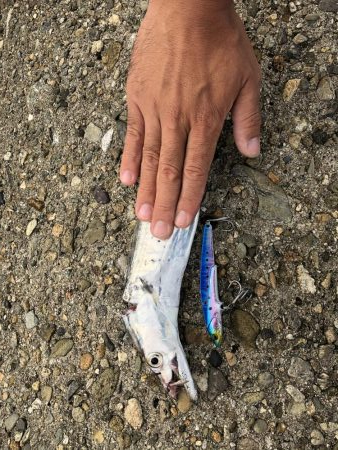 ショアジギング 渋ーい