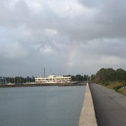 サゴシ祭りだ!わっしょいわっしょい!