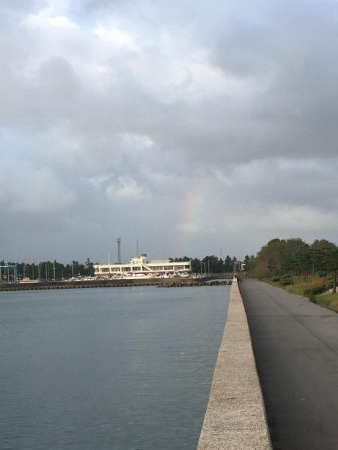サゴシ祭りだ!わっしょいわっしょい!