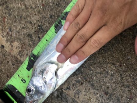 釣り大会に向けて