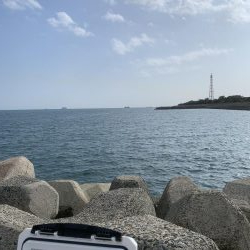 真昼間にツバス、いや、ハマチ！！