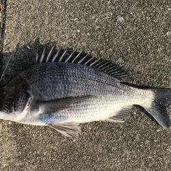 イチノ兄弟、釣果!