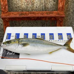 ショアジギング