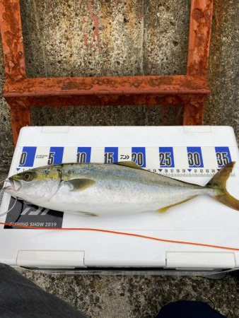 ショアジギング