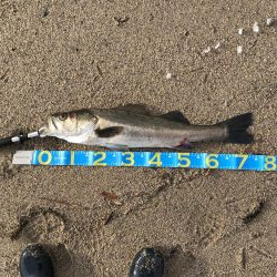 久しぶりに釣り日和