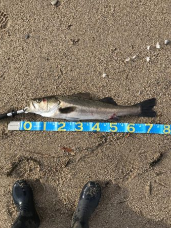 久しぶりに釣り日和