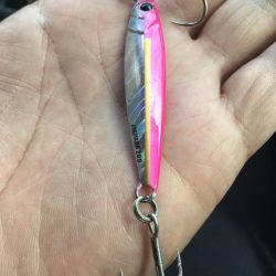 岸和田トップでチニング！　ジクでタチウオ！