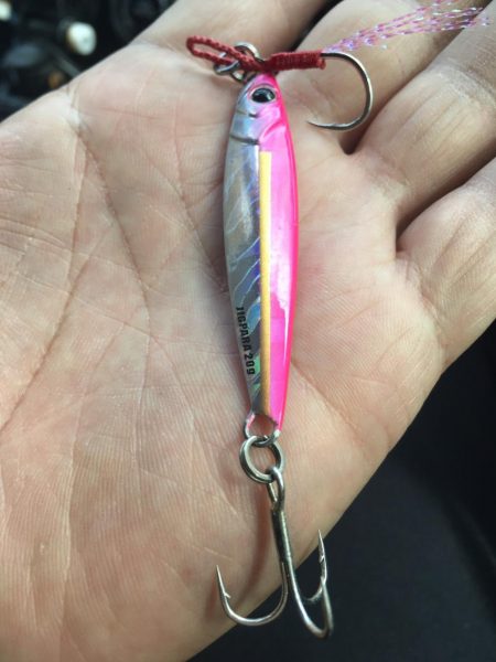 岸和田トップでチニング！　ジクでタチウオ！