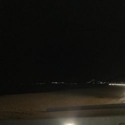 ナイトアジング