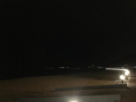 ナイトアジング