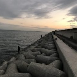 やっとハマチゲット