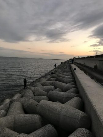 やっとハマチゲット